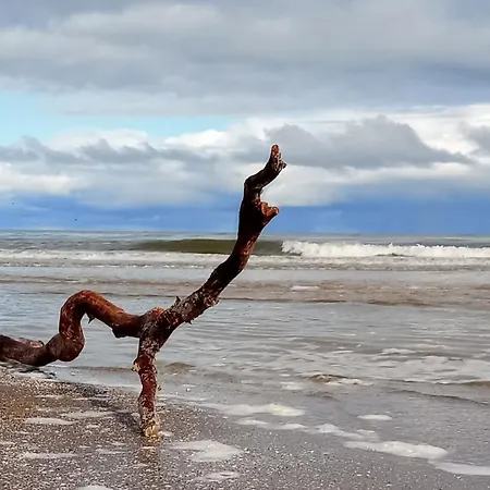アパート Fischstuebchen Neeberg 2 - Meerjungfrau