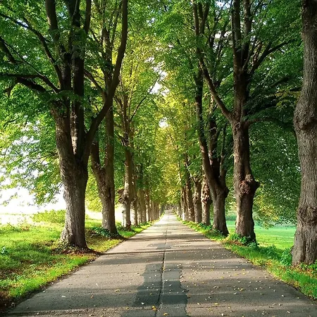 Апартаменты Fischstuebchen Neeberg 2 - Meerjungfrau Krummin