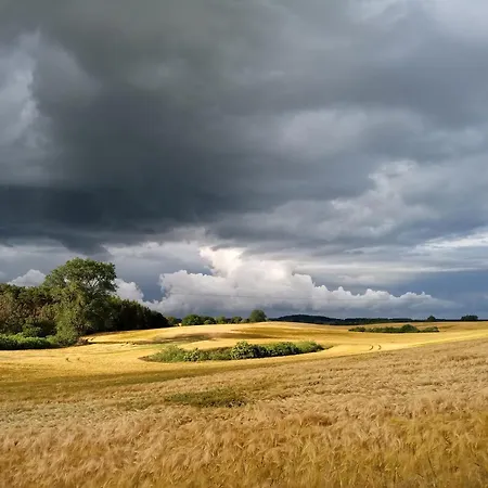 Fischstuebchen Neeberg 2 - Meerjungfrau * Krummin