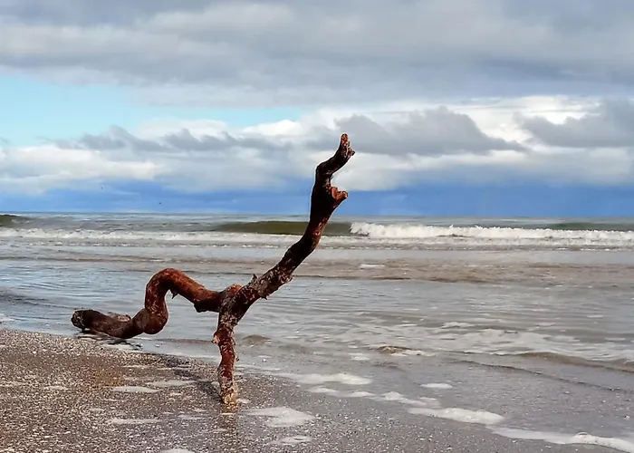 Apartament Fischstuebchen Neeberg 2 - Meerjungfrau