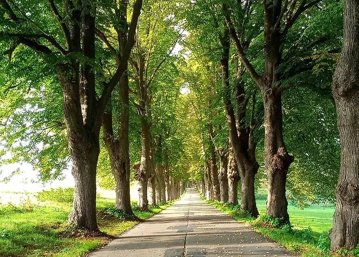 Apartament Fischstuebchen Neeberg 2 - Meerjungfrau Krummin