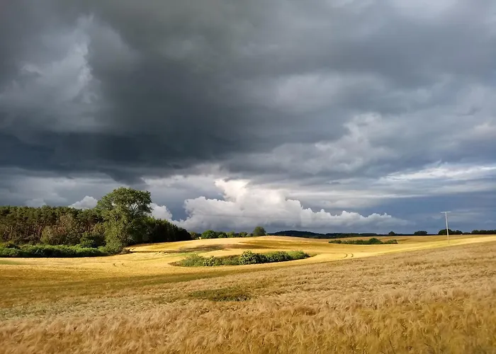Fischstuebchen Neeberg 2 - Meerjungfrau * Krummin
